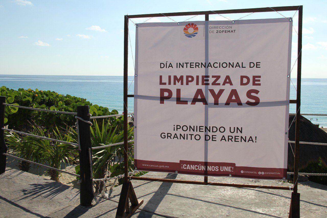 uploads/6/32/01 (390).Jpeg